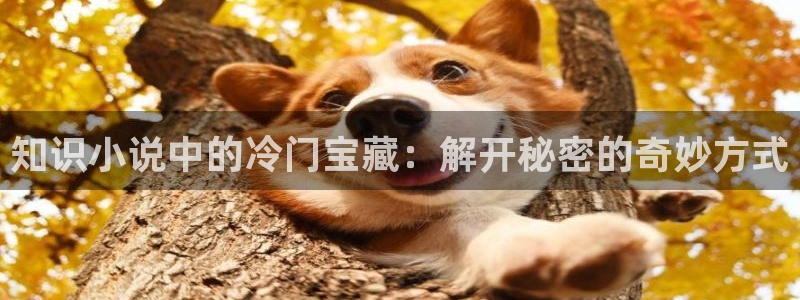 潇湘书院小说网：知识小说中的冷门宝藏：解开秘密的奇妙方式